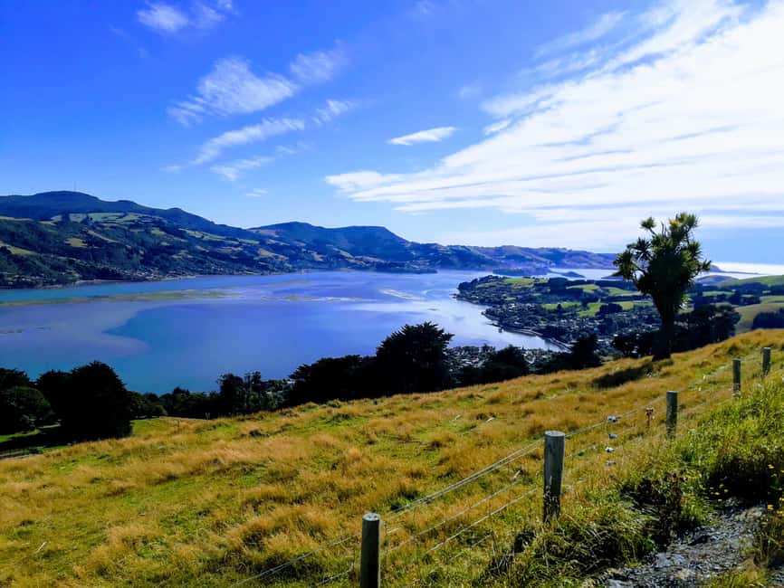 Otago Peninsula Scenery & Little Blue Penguin tour - Highcliff Road gives you the best start