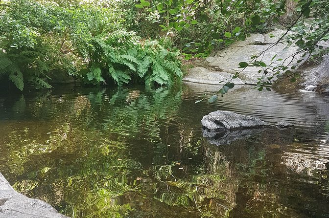 Over Water and Bird Songs - Listening for birds instead of chasing them
