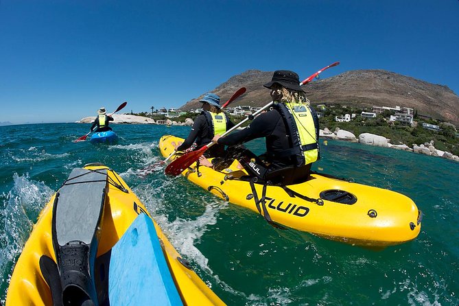 Paddle with the Penguins - Why kayaking is a fine way to see Simon’s Town penguins