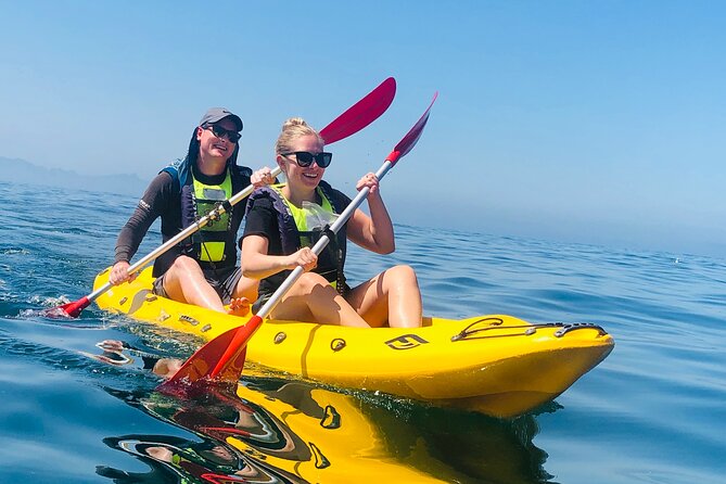 Paddle with the Penguins - Paddling out toward the penguin habitat