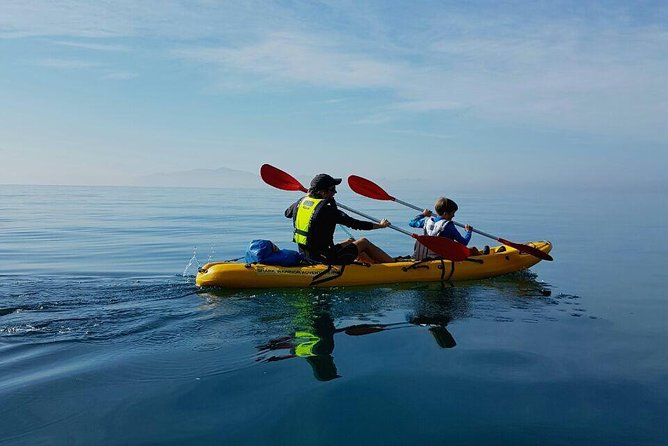 Paddle with the Penguins - What makes the penguin viewing respectful