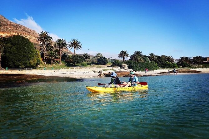 Paddle with the Penguins - Gear, comfort, and physical demands