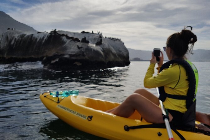 Paddle with the Penguins - Wind cancellations and the value of flexible plans