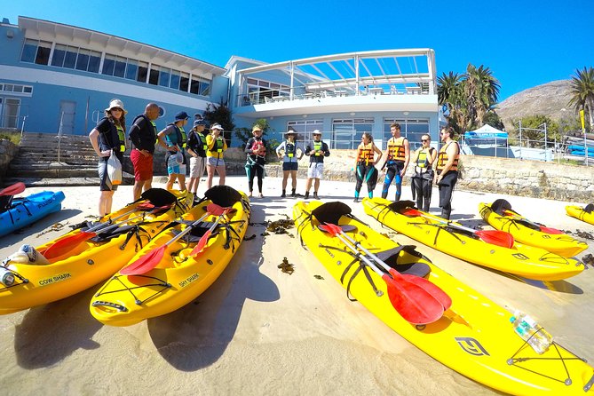 Paddle with the Penguins - Starting at Seaforth Beach with a proper safety briefing