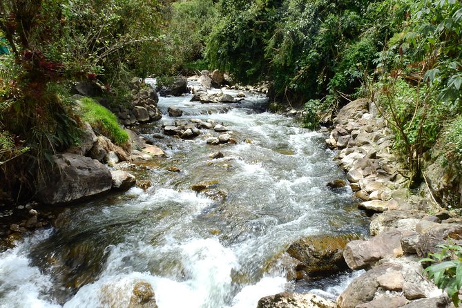 Papallacta Hot Springs & Guango Birding Reserve Private Tour - Antisana Ecological Reserve and the high-country views