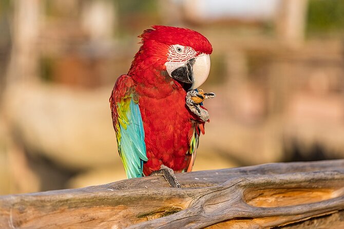 Parrot World Immersive Wildlife Park Entry Ticket next to Paris - A South American stop outside Paris
