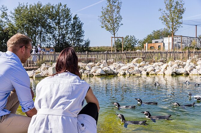 Parrot World Immersive Wildlife Park Entry Ticket next to Paris - Weather and the best time to visit