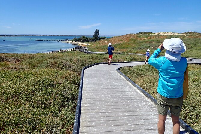 Penguin and Seal Islands Sea Kayaking Experience - Key points at a glance