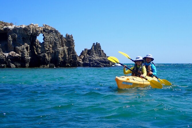 Penguin and Seal Islands Sea Kayaking Experience - From Shoalwater to the islands by kayak
