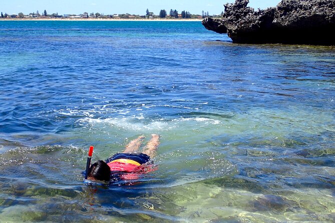 Penguin and Seal Islands Sea Kayaking Experience - Lunch and the pause between activities