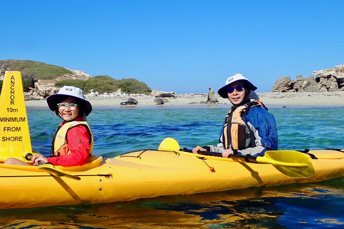 Penguin and Seal Islands Sea Kayaking Experience - How hard is the kayaking?