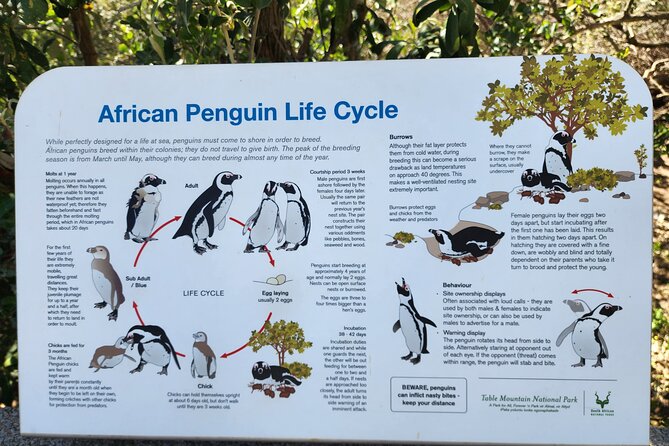 Penguin Encounter Boulders Beach Half Tour Day from Cape Town - Boulders Beach is the main event