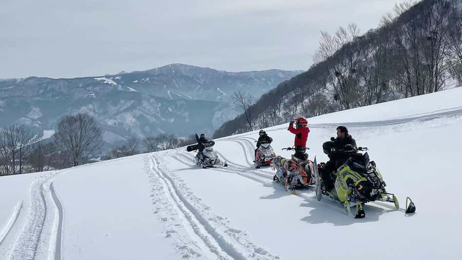 Penguin Fun & Snowmobile : Sapporo Winter (Asahiyama Zoo) - Who will get the most from the $58 price