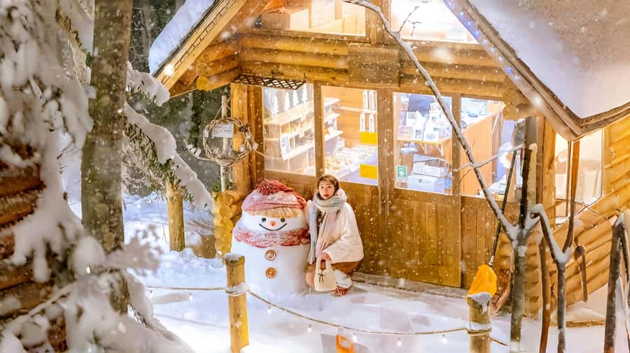Penguin Fun & Snowmobile : Sapporo Winter (Asahiyama Zoo) - Leaving Sapporo in a heated bus