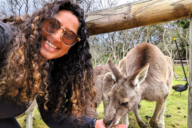 Penguin Parade, & Wildlife Encounters Eco Tour from Melbourne - The Nobbies offers the day’s best coastal views