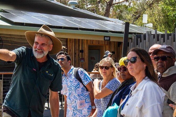 Penguin Parade, & Wildlife Encounters Eco Tour from Melbourne - Why the guide can shape the whole day