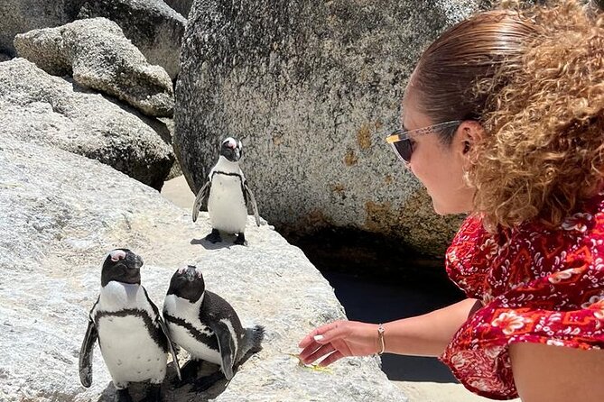 Penguin Watching & Beach Day at Boulder's Beach, Cape Town - Why Boulders Beach is the main event
