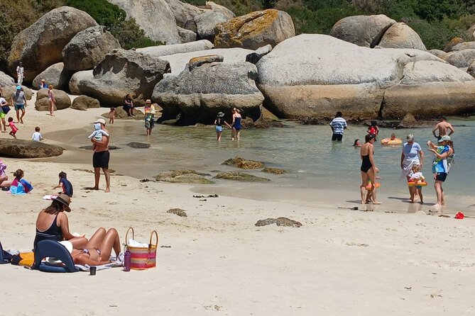 Penguin Watching & Beach Day at Boulder's Beach, Cape Town - Chapmans Peak gives you the best road views