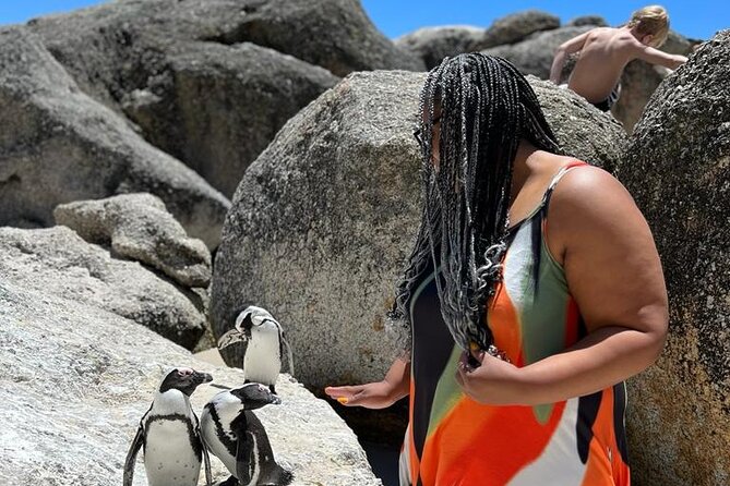 Penguin Watching & Beach Day at Boulder's Beach, Cape Town - Simon’s Town and the Boulders Beach penguins