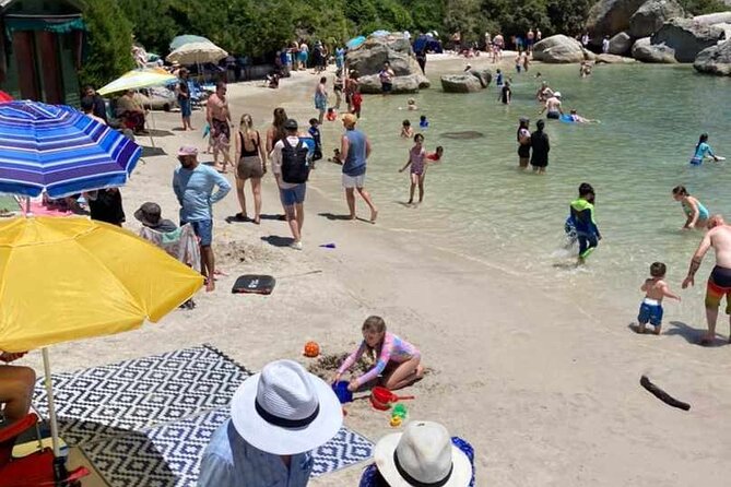 Penguin Watching & Beach Day at Boulder's Beach, Cape Town - Noordhoek Farm Village adds a short coffee break