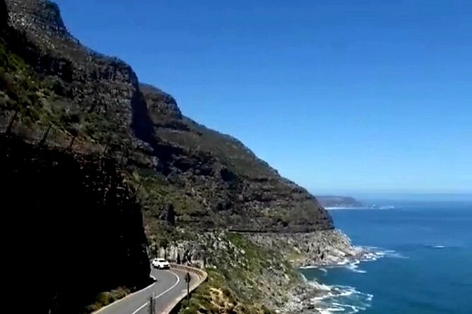Penguins Cape of Good Hope, Cape Point Private Tour - Cape of Good Hope: monuments, wildlife, and walking options