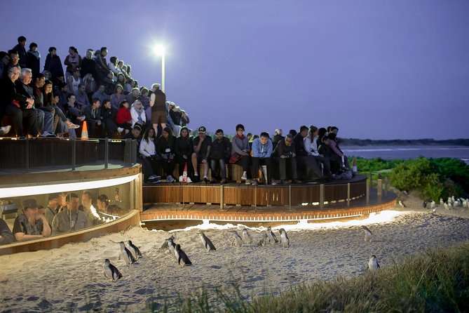 Phillip Island Day Trip from Melbourne with Penguin Plus Viewing Platform - The 1-hour-45-minute ride from Melbourne