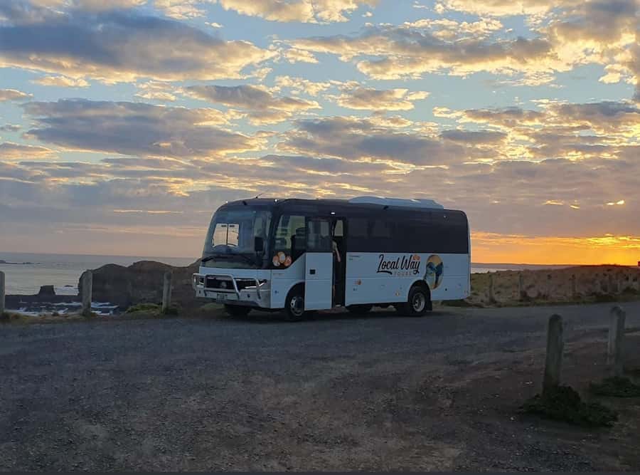 Phillip Island: Golden Hour Penguin Express Tour - Small details that improve the evening