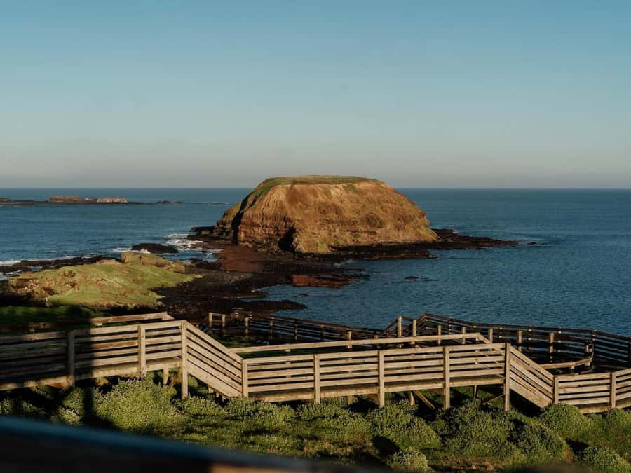 Phillip Island: Golden Hour Penguin Express Tour - Should you book the Golden Hour Penguin Express?