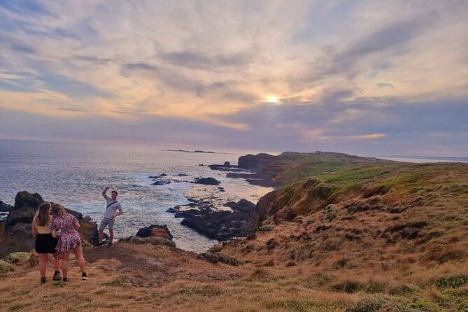 Phillip Island: Golden Hour Penguin Express Tour w/ Island Pickup - The Penguin Parade is the main event