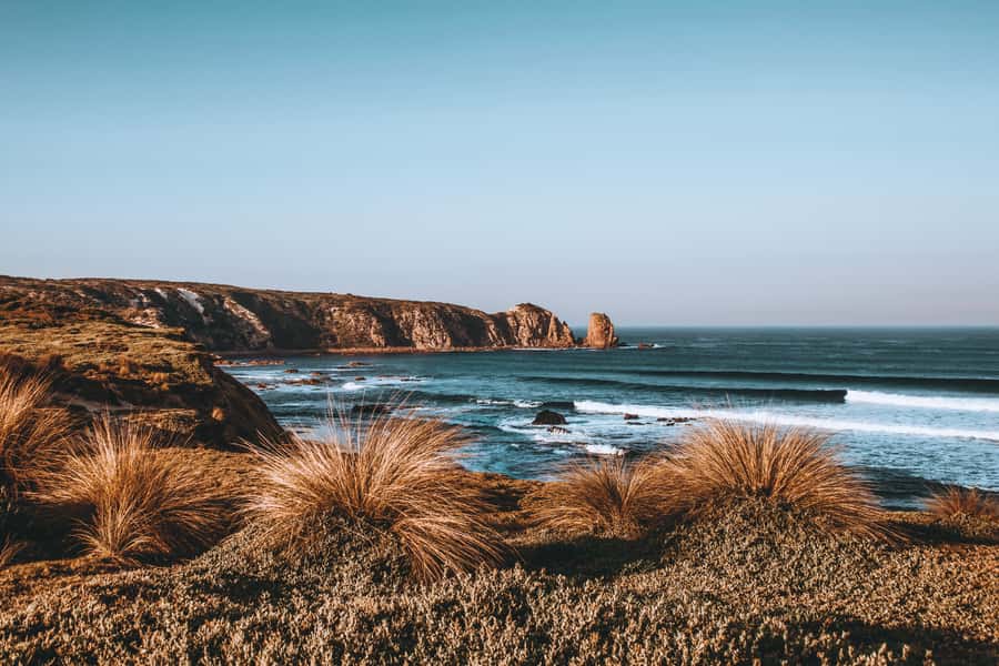 Phillip Island: Hike and Penguin Parade - 8 pax Small Tour - Why this Phillip Island day is more than a penguin trip