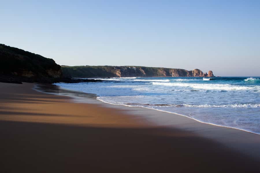 Phillip Island: Hike and Penguin Parade - 8 pax Small Tour - Lunch in Cowes and the cost of a full day
