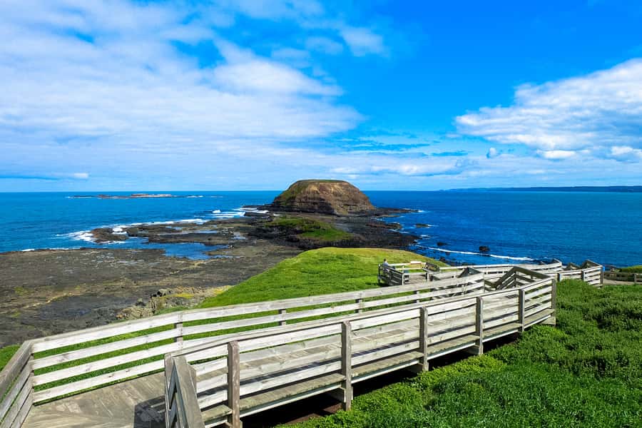 Phillip Island: Hike and Penguin Parade - 8 pax Small Tour - Getting ready for a 12-hour outing