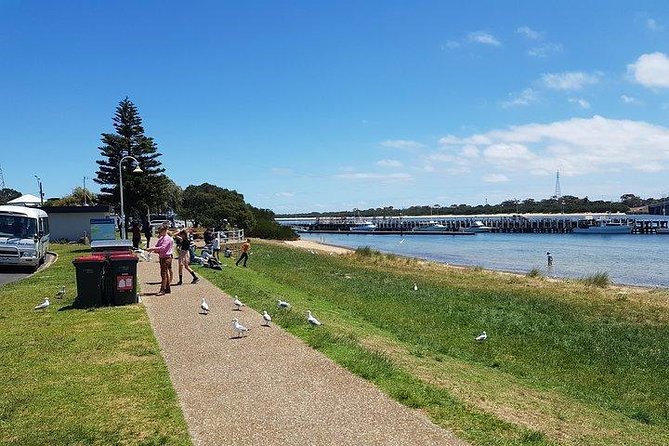 Phillip Island Penguin and wildlife Tour - The Penguin Parade is worth the late finish