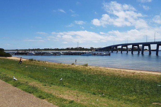 Phillip Island Penguin and wildlife Tour - Guides make a long day easier