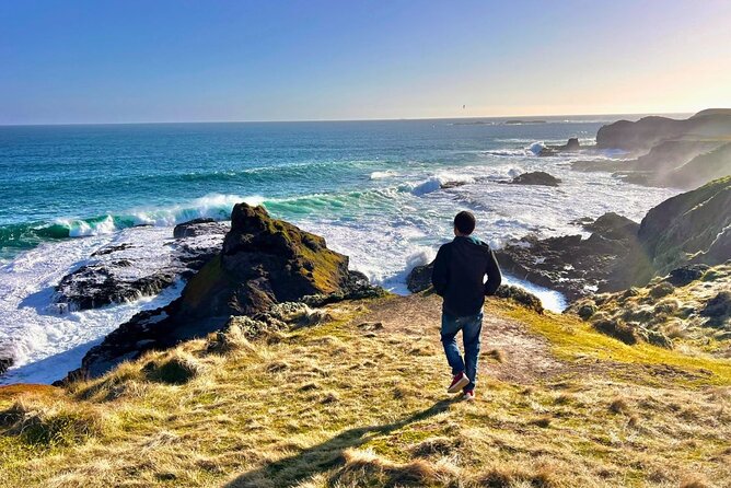 Phillip Island & Penguin Parade Afternoon Eco Tour from Melbourne - Key points to know before you book