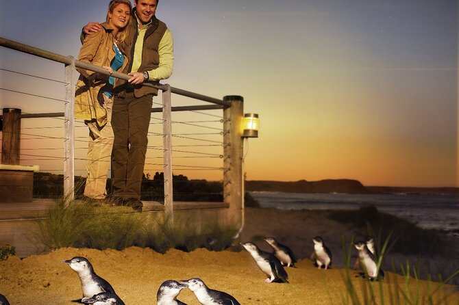 Phillip Island & Penguin Parade Afternoon Eco Tour from Melbourne - Leaving Melbourne after a free morning