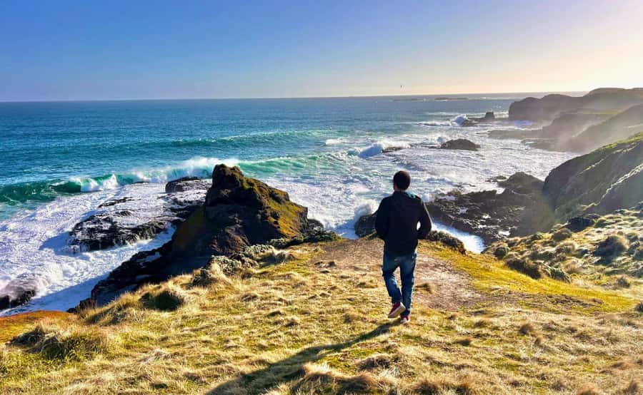 Phillip Island Penguin Parade Afternoon Tour from Melbourne - Why the penguin return is worth the long ride