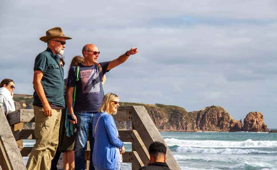 Phillip Island Penguin Parade Afternoon Tour from Melbourne - What the standard viewing includes
