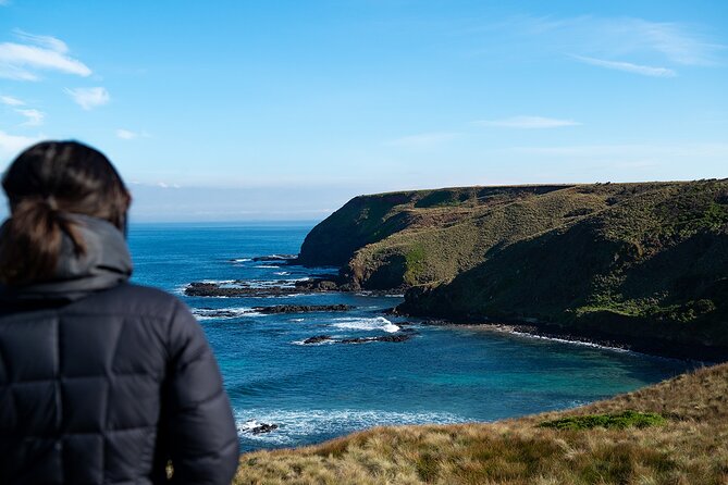 Phillip Island Penguin Parade Express Tour from Melbourne - Why the penguin parade is worth the late return