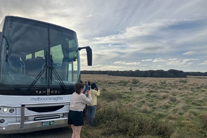 Phillip Island Penguin Parade Express Tour from Melbourne - The group size and walking pace