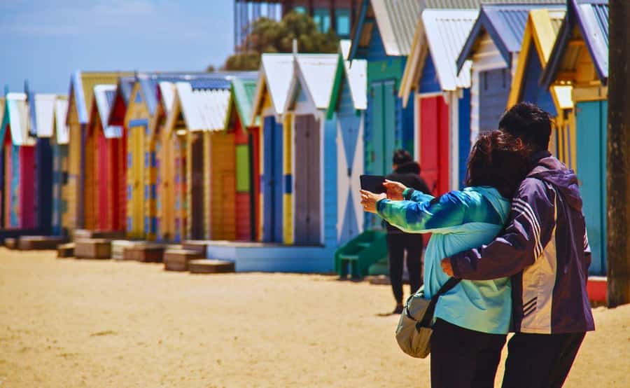 Phillip Island Penguin Parade with Expert Local Guide - Key points at a glance