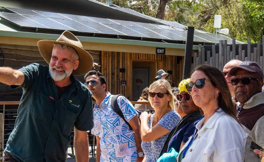 Phillip Island Penguin Parade with Expert Local Guide - Practical preparation for a better day