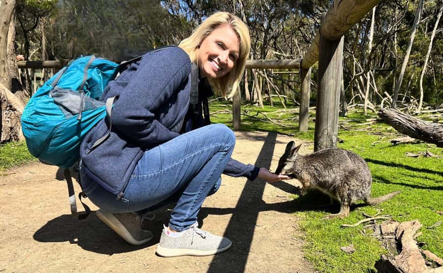 Phillip Island Penguin Parade with Expert Local Guide - A long return to Melbourne, made easier by the guide