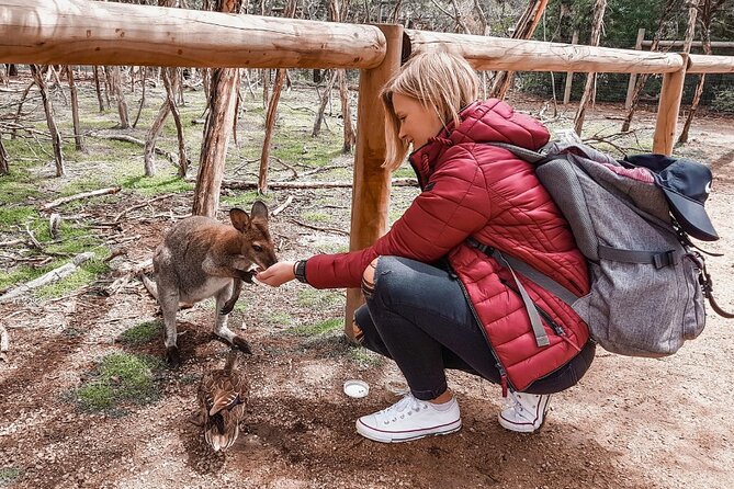 Phillip Island Penguins & Wildlife Day Tour from Melbourne - Why the penguin parade is worth the late night
