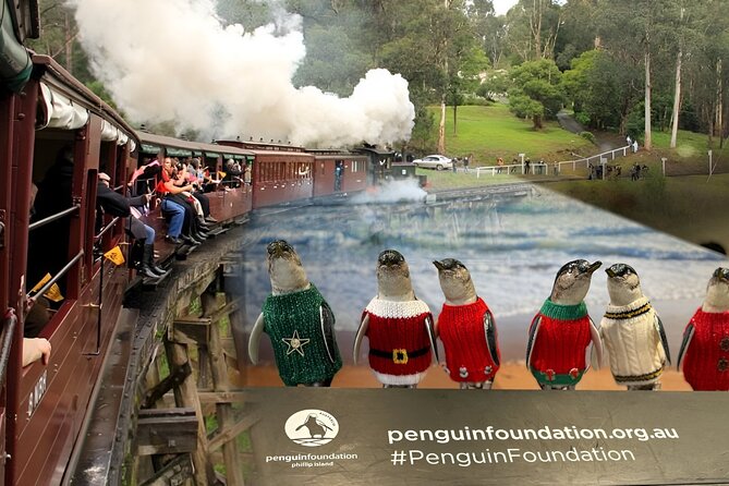 Phillip Island Penguins & Wildlife Day Tour from Melbourne - The Nobbies offers the best coastal views