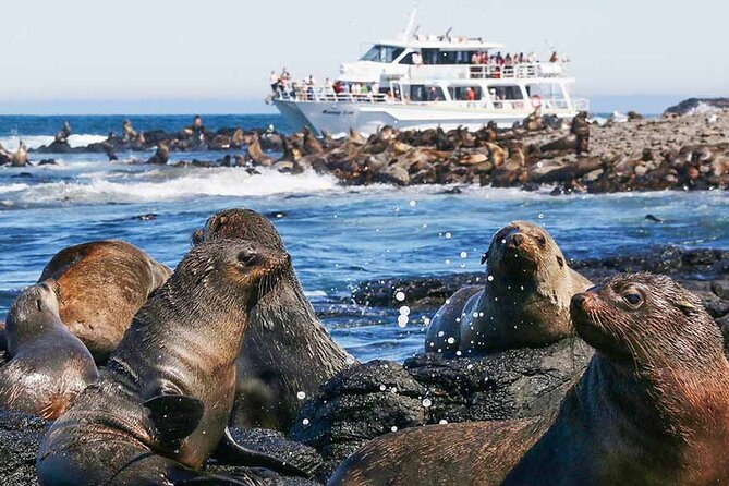 Phillip Island Wildlife Cruise and Penguin Tour from Melbourne - The guide can shape the whole day