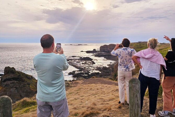 Phillip Island Wildlife Cruise and Penguin Tour from Melbourne - Who gets the best value from this tour