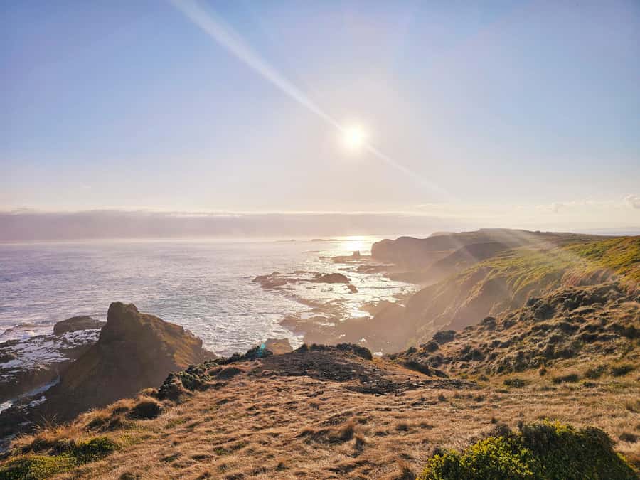 Phillip Island: Wine, Wildlife & Penguins with Gourmet Feast - Cowes gives you 30 minutes to reset