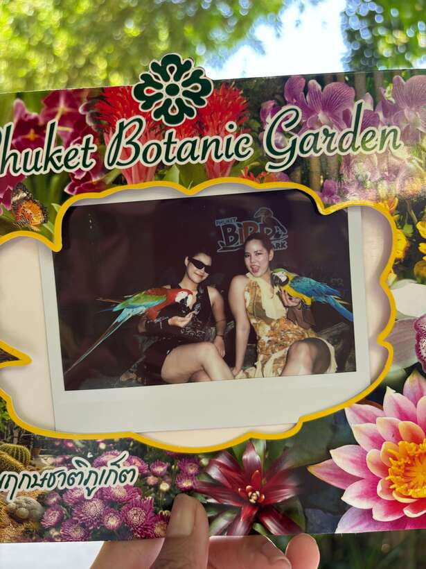 Phuket: Bird Park Entry Ticket - Key points to know before you go
