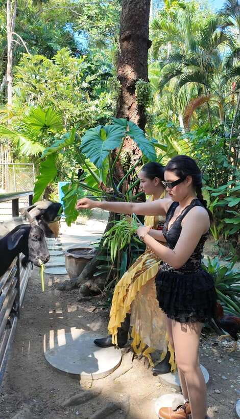 Phuket: Bird Park Entry Ticket - A colorful change from Phuket’s beaches